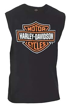 【HARLEY DAVIDSON】L/S Tee デカロゴ スリーブロゴ 2XL 51p7Pc2+yIL._SY350_QL65_.jpg